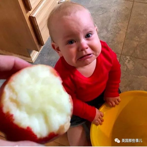 熊孩子到底为啥哭?基本上,为了啥破事儿都得哭一哭啊!