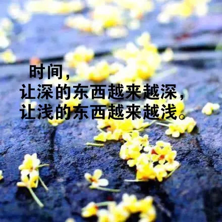 最適合發朋友圈的人生哲理感悟短語,句句讓人深思