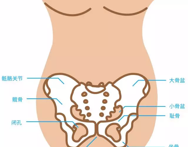 孕期屁股疼?并不是因为太小不好生!