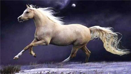 刘备的坐骑叫的卢,关羽的坐骑叫赤兔,那张飞的坐骑叫