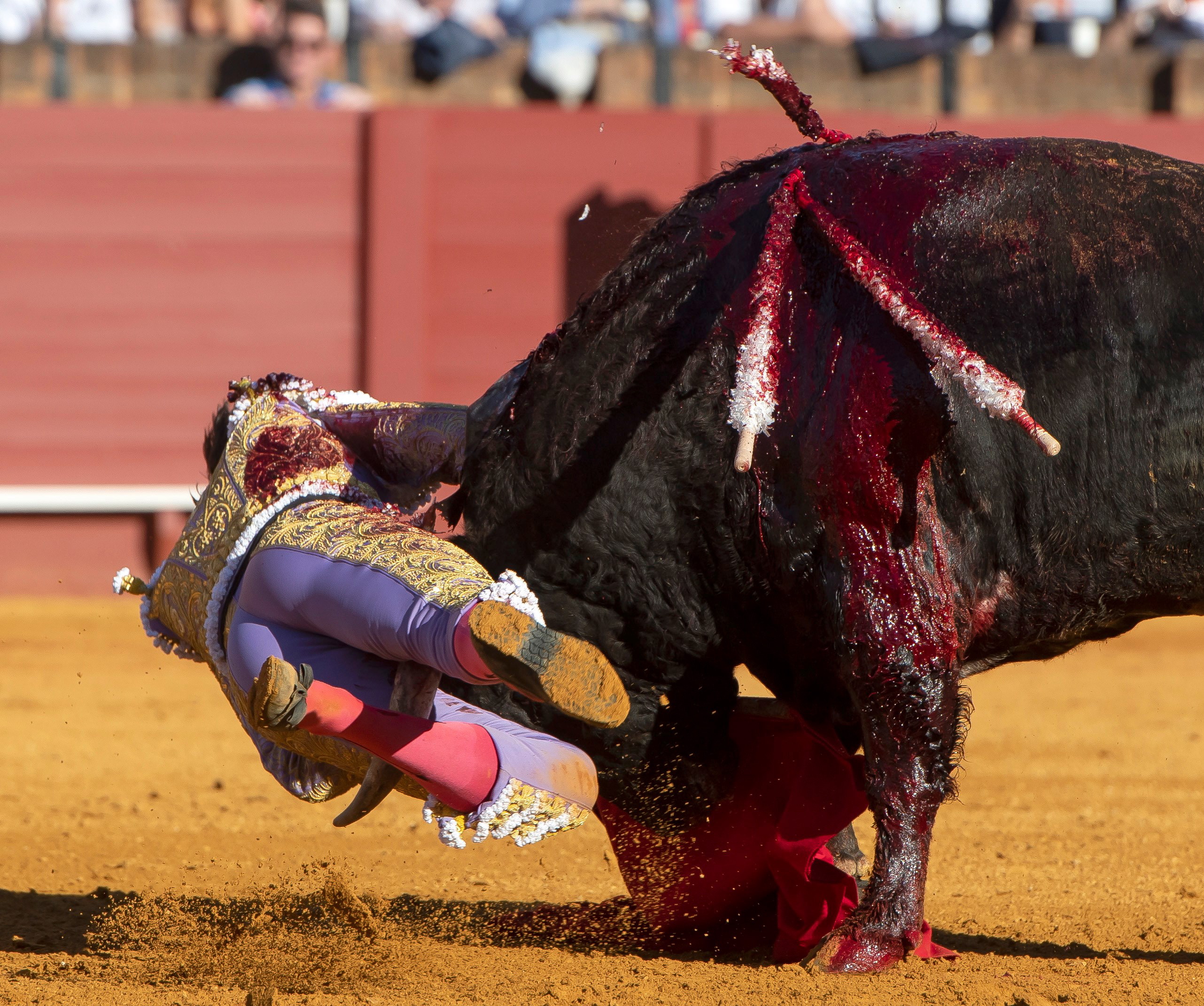 西班牙:"四月节"活动的斗牛表演