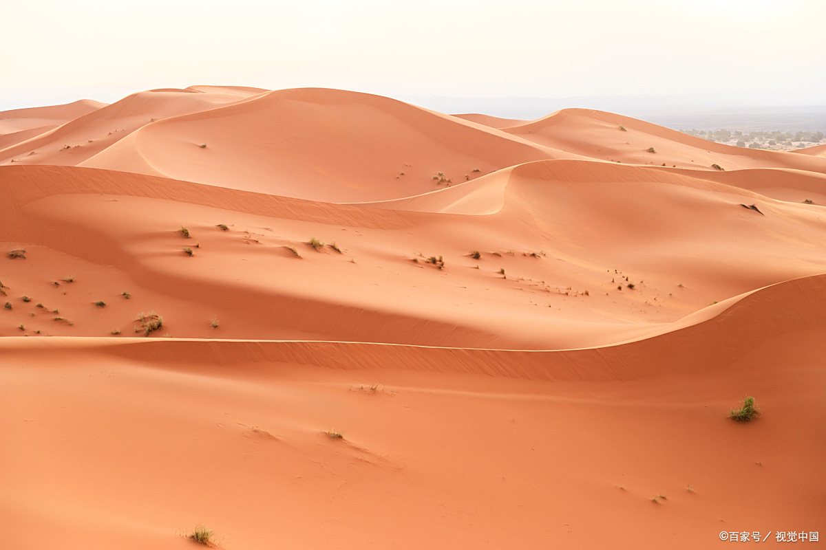 地貌之美:荒凉的风沙地貌
