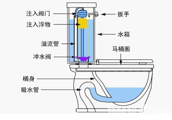 坐便器的原理透视图图片