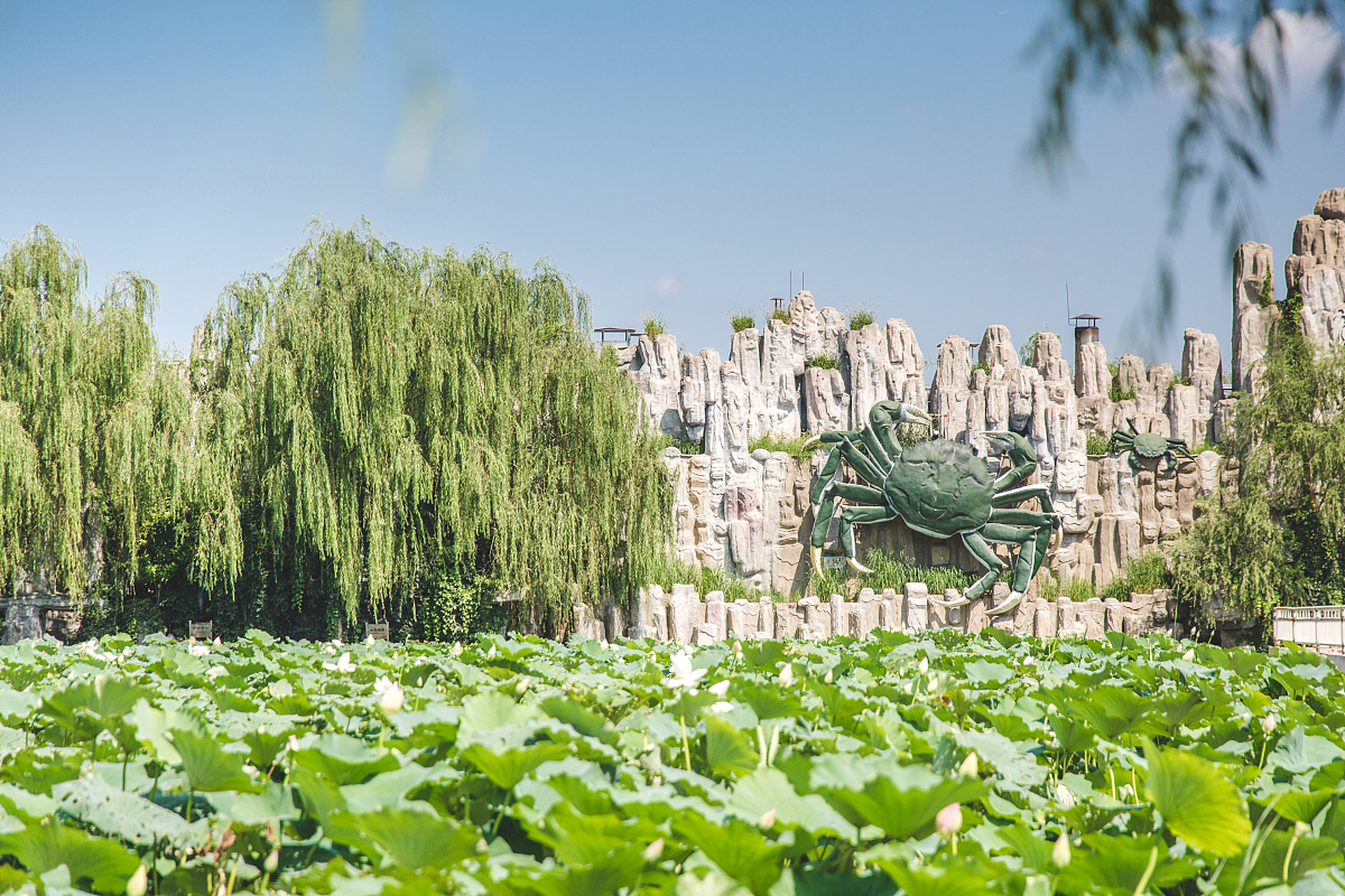 河南中牟旅游景点大全图片