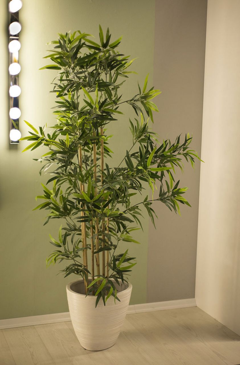 竹子盆景,室内装饰的清雅翘楚!巧妙布局与设计后的小天地绿意盎然.