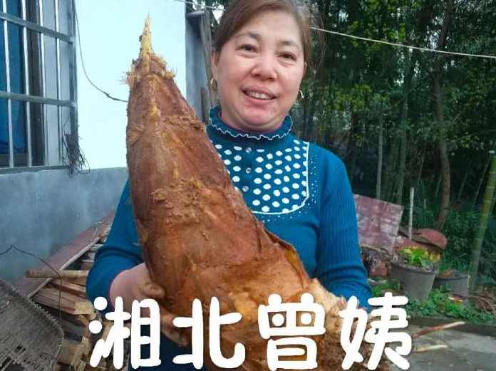 湘北曾姨百家号