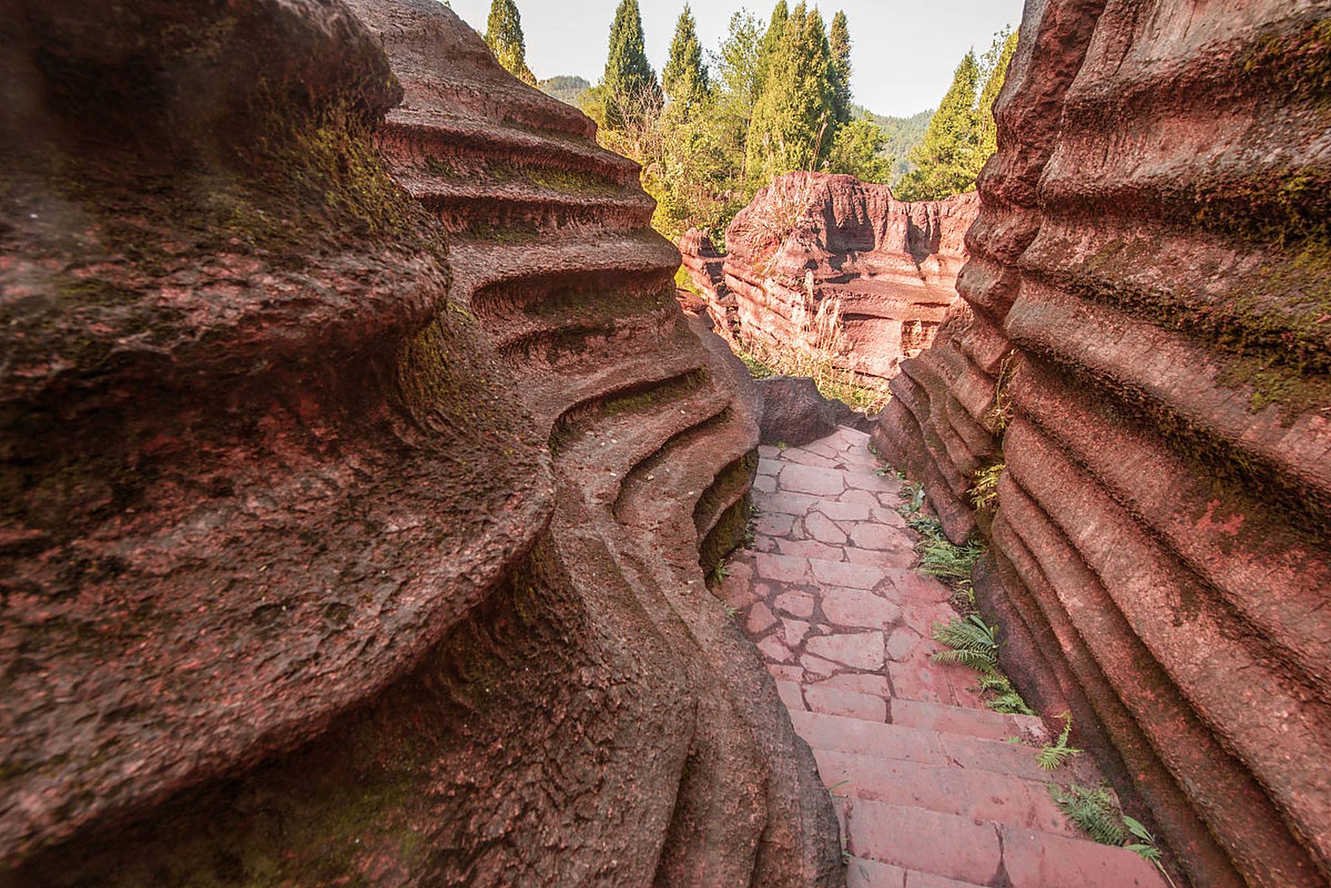 踏入红石林景区,你立马就会被那独特的红色石
