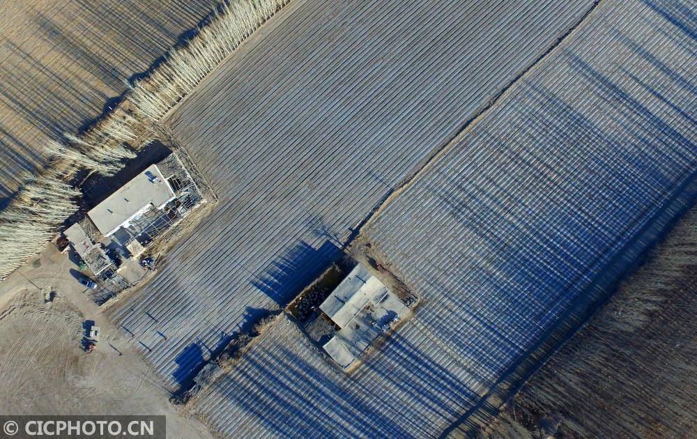 新疆焉耆盆地:春来农事忙