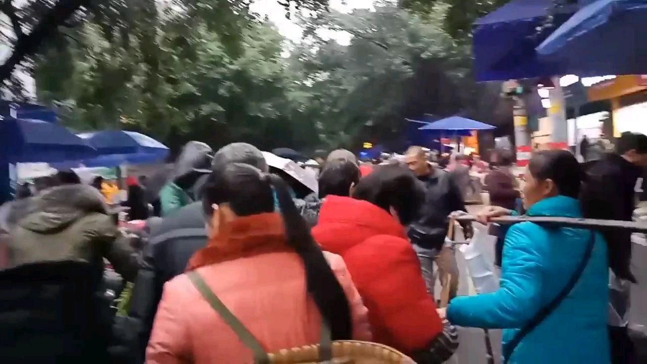 冬至前一天四川的羊肉卖的火热,转了一圈还是牛肉性价比高