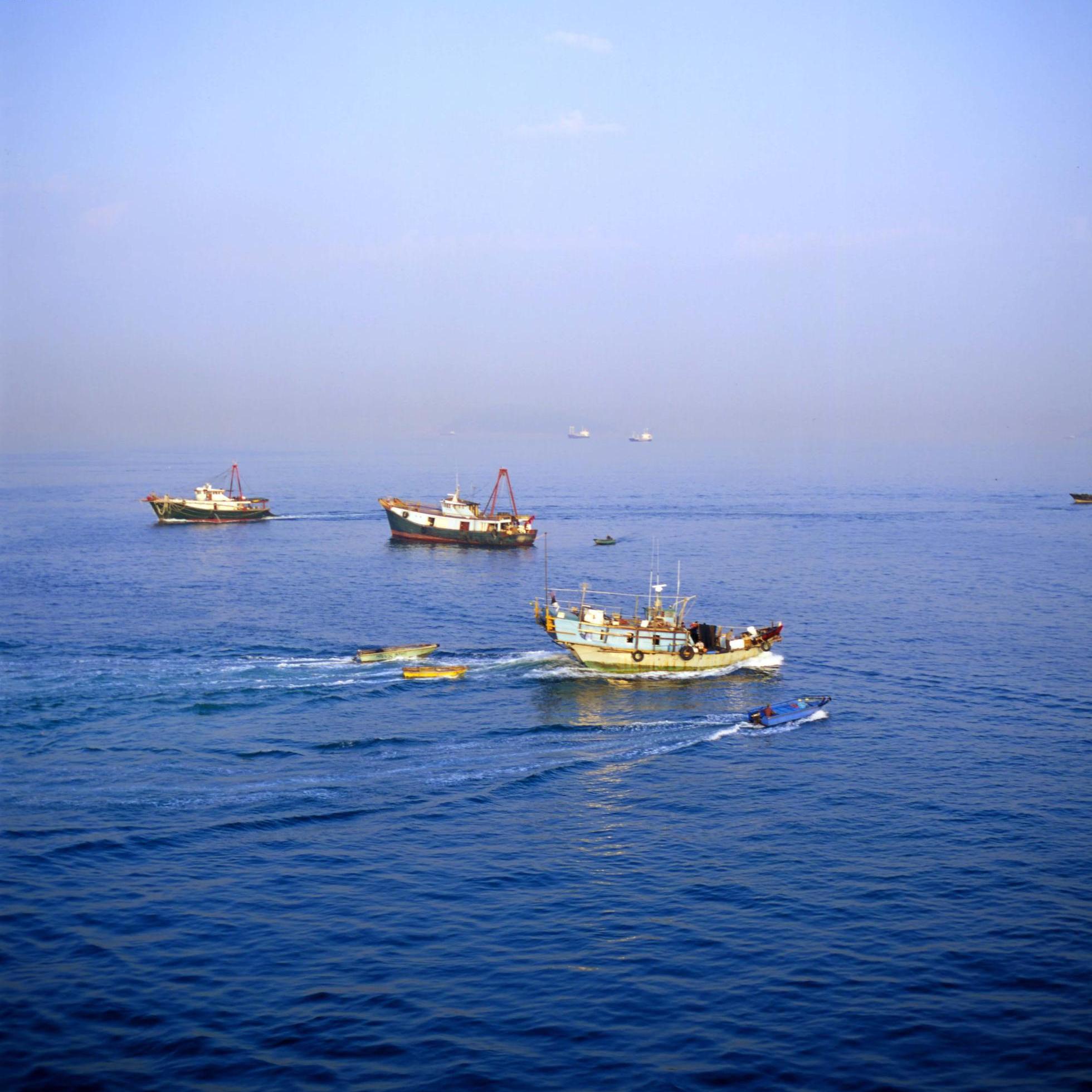 珠海市外伶仃岛海面的渔船