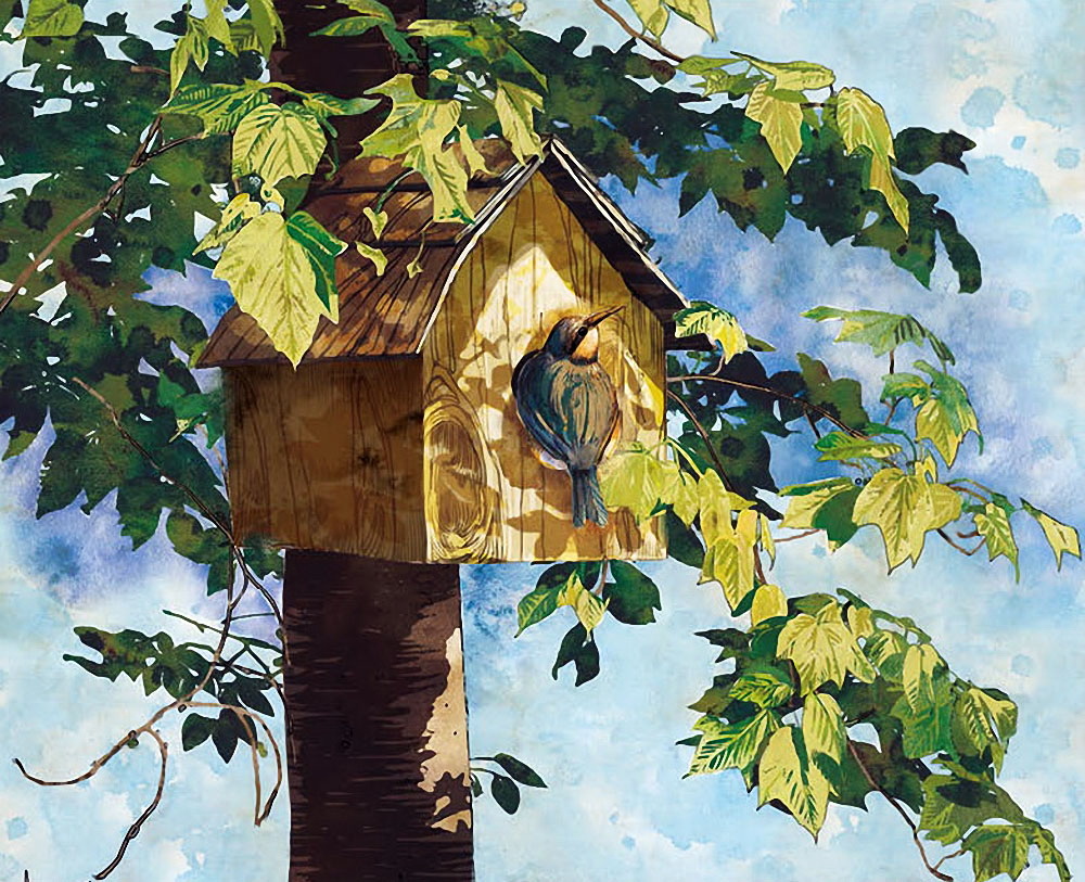 插画:艺术家tim coffey作品-漂亮的鸟屋