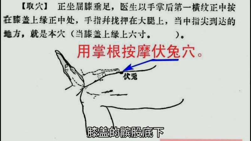 胃反酸反反复复很难受,腿上有个伏兔穴,每天敲打即可,不妨试试,生活,健康养生,好看视频