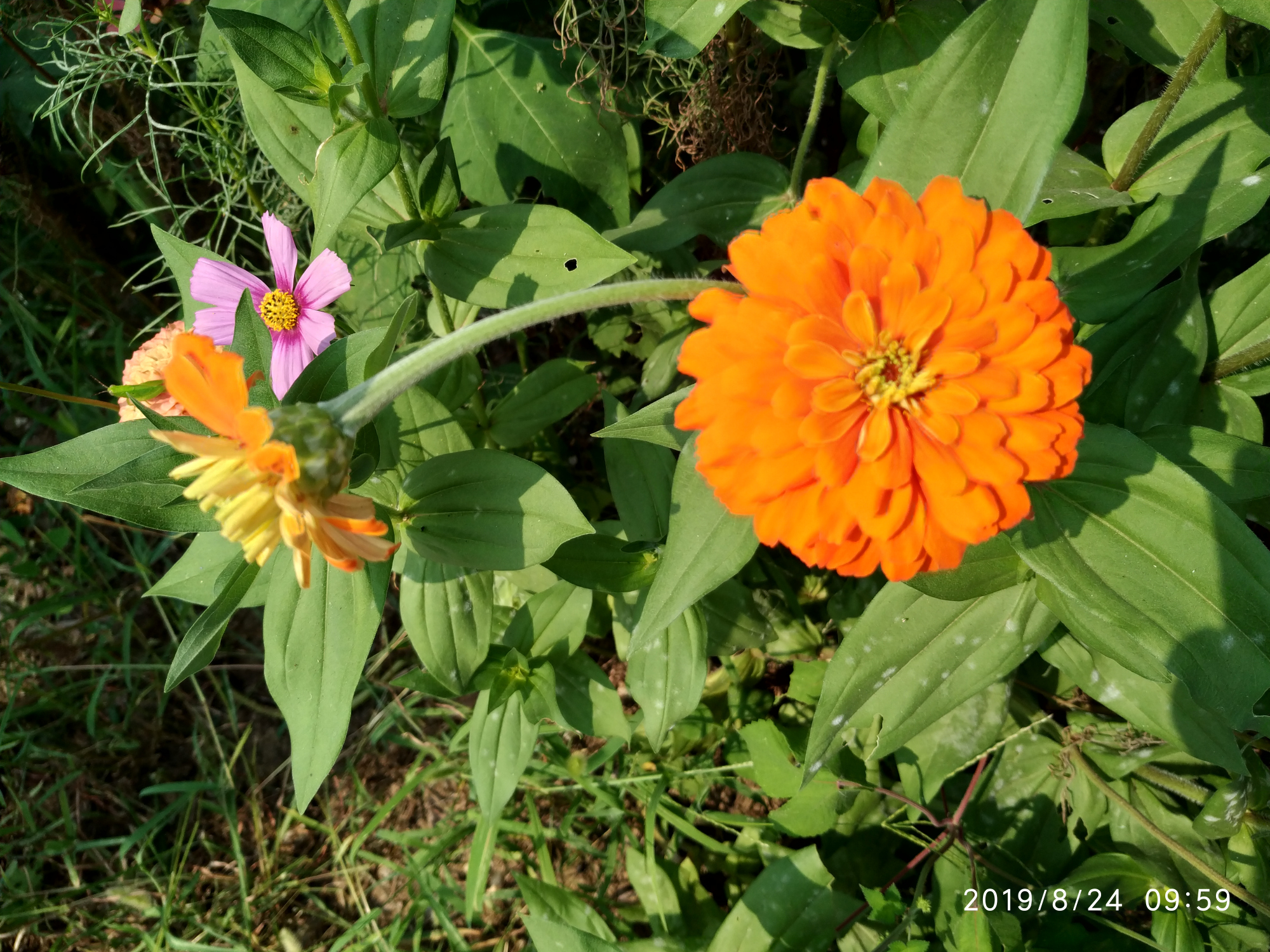 所有的语言都是苍白,以临界的方式,在这个夜晚穿行