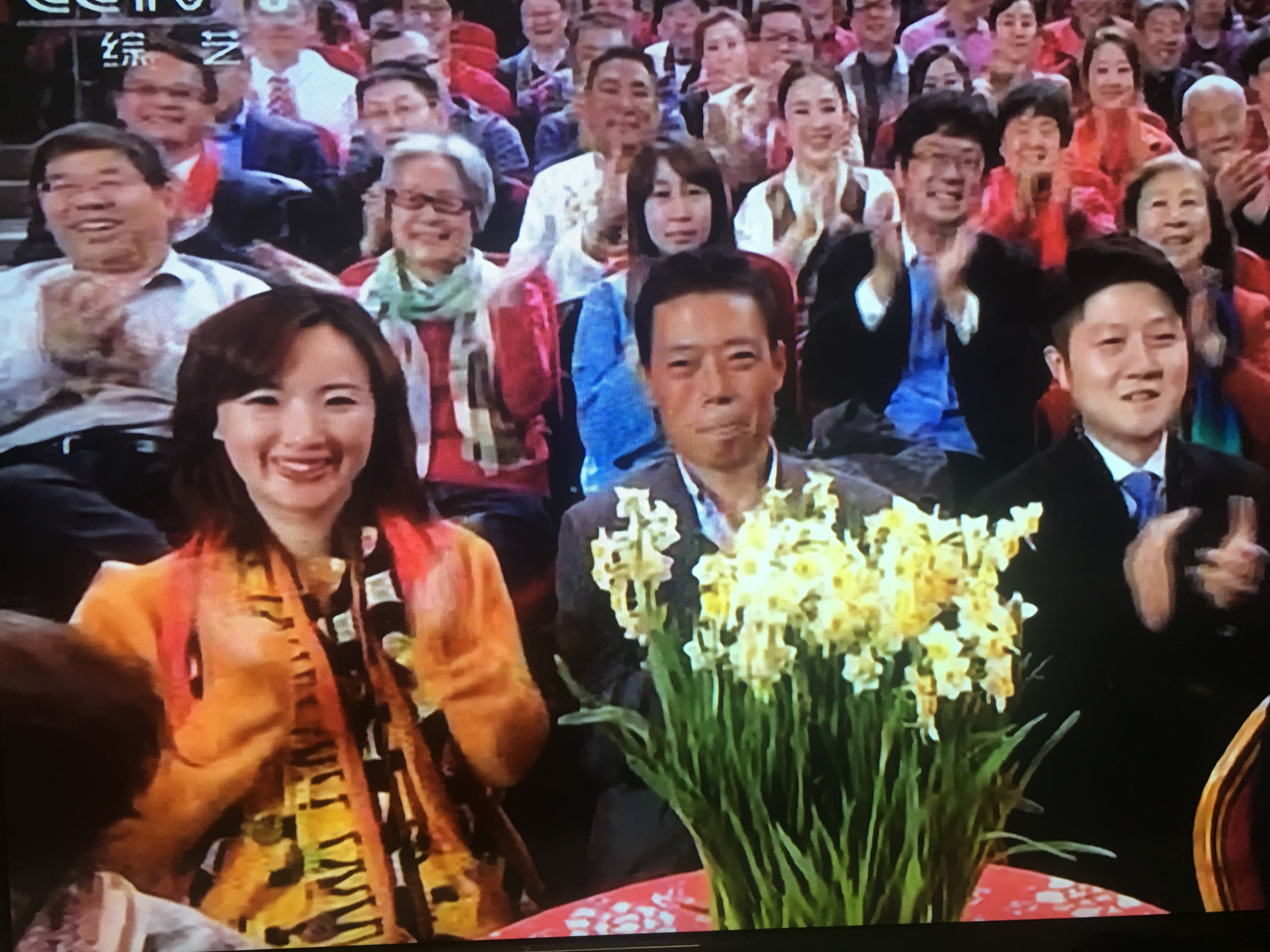 春晚的水仙花开了,你们家的水仙花开了吗?