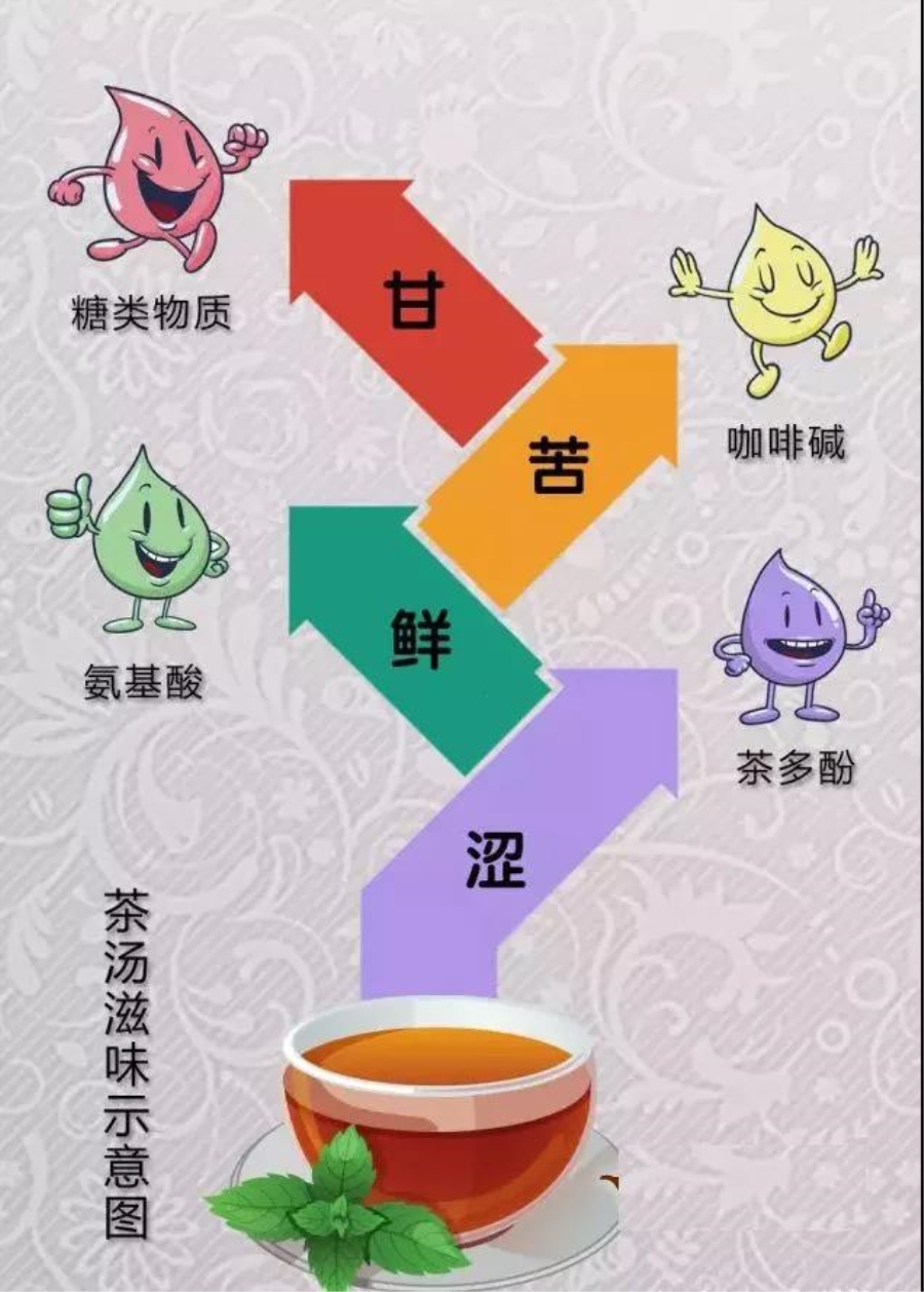 新手贴:老白茶的功效与作用