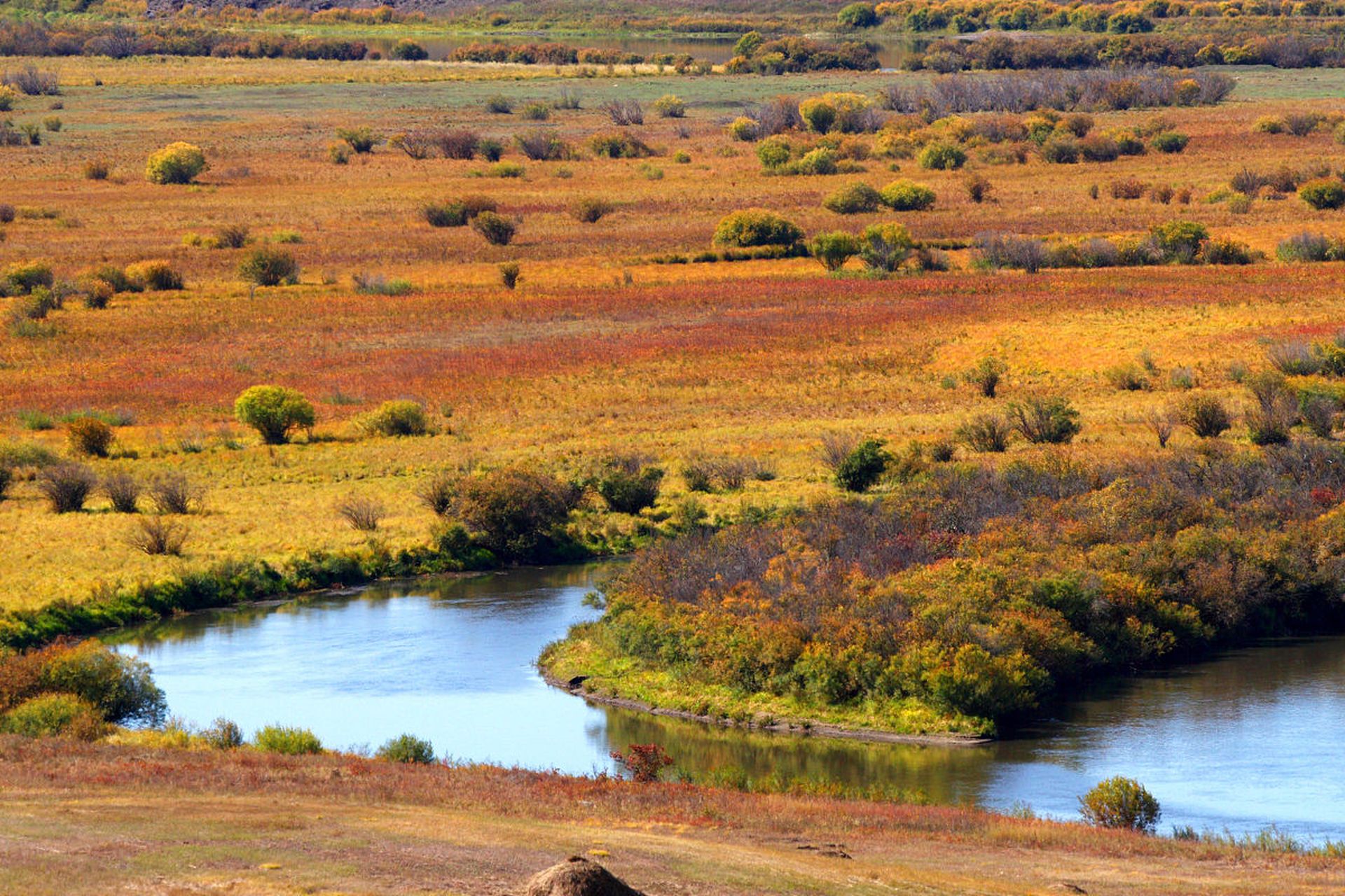 分享图片额尔古纳风景