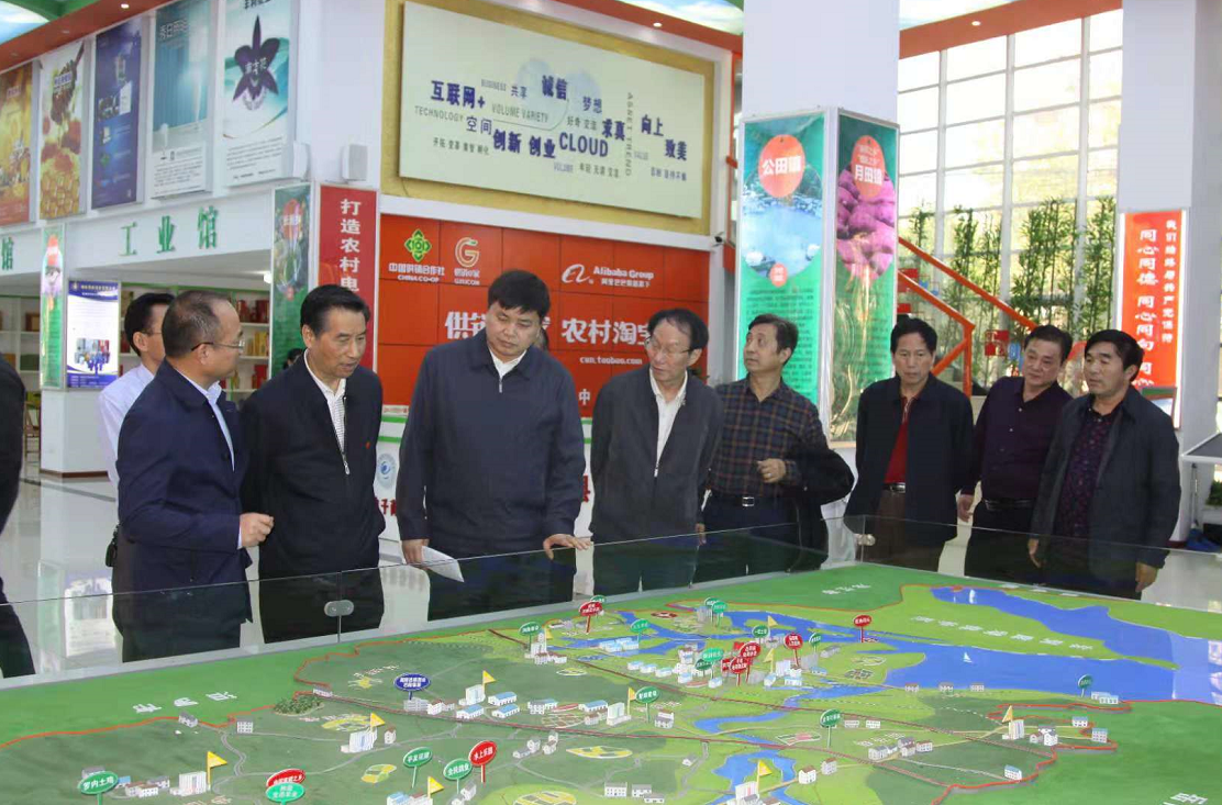 蔡力峰考察岳阳市老科协工作