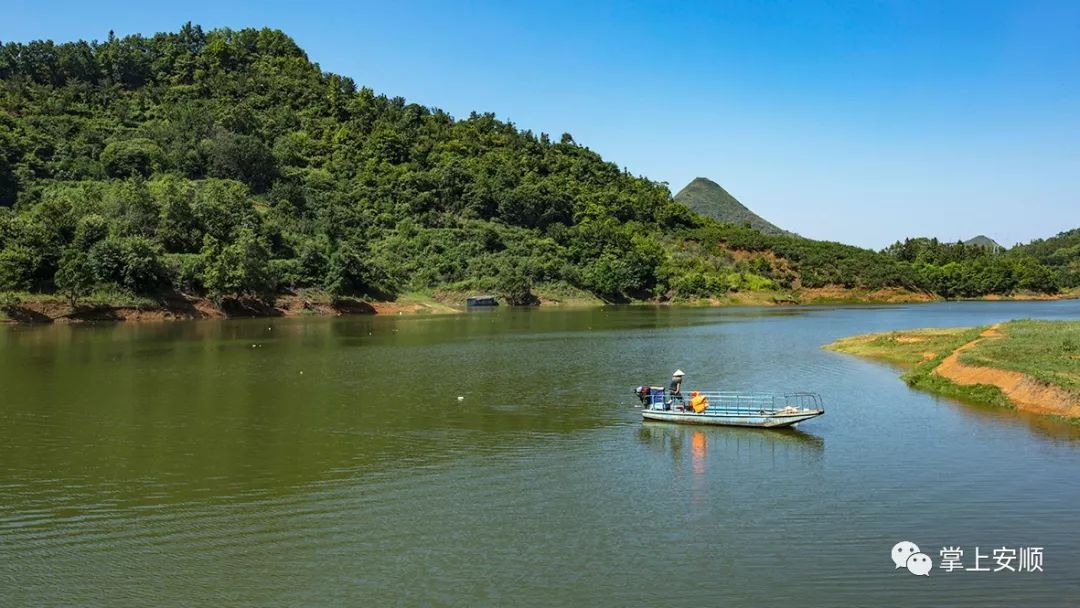 安顺:修复水域生态环境 123.5万尾鱼苗安家黄龙湖