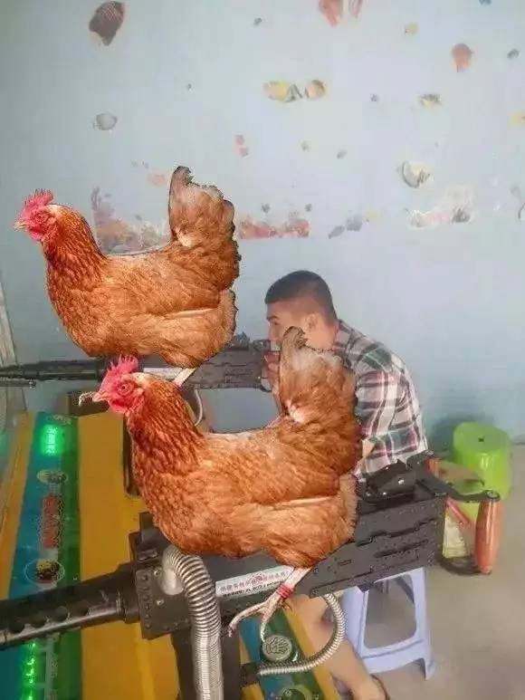 大神p图来袭,笑出猪叫声……哈哈哈哈哈哈哈哈哈哈