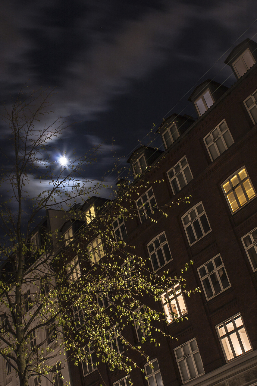 家,温馨的港湾, 每当夜幕降临,灯火闪烁.