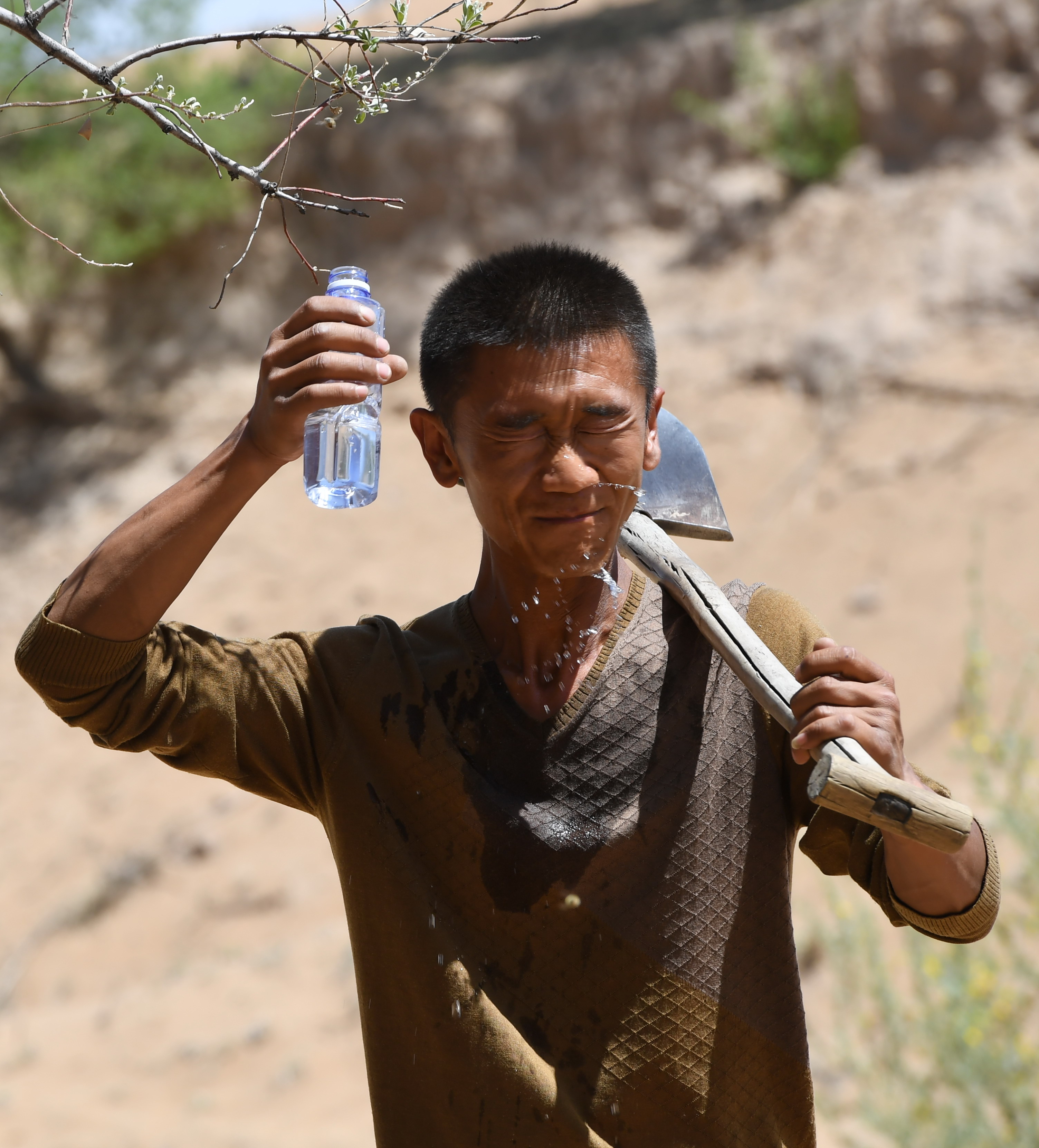 第三代治沙人郭玺:把沙漠种成"花海"