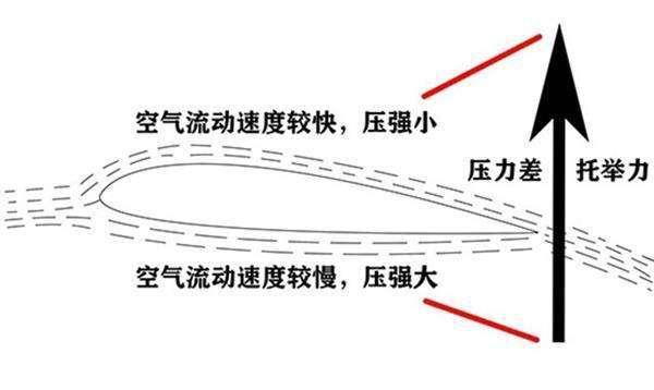 约翰伯努利图片