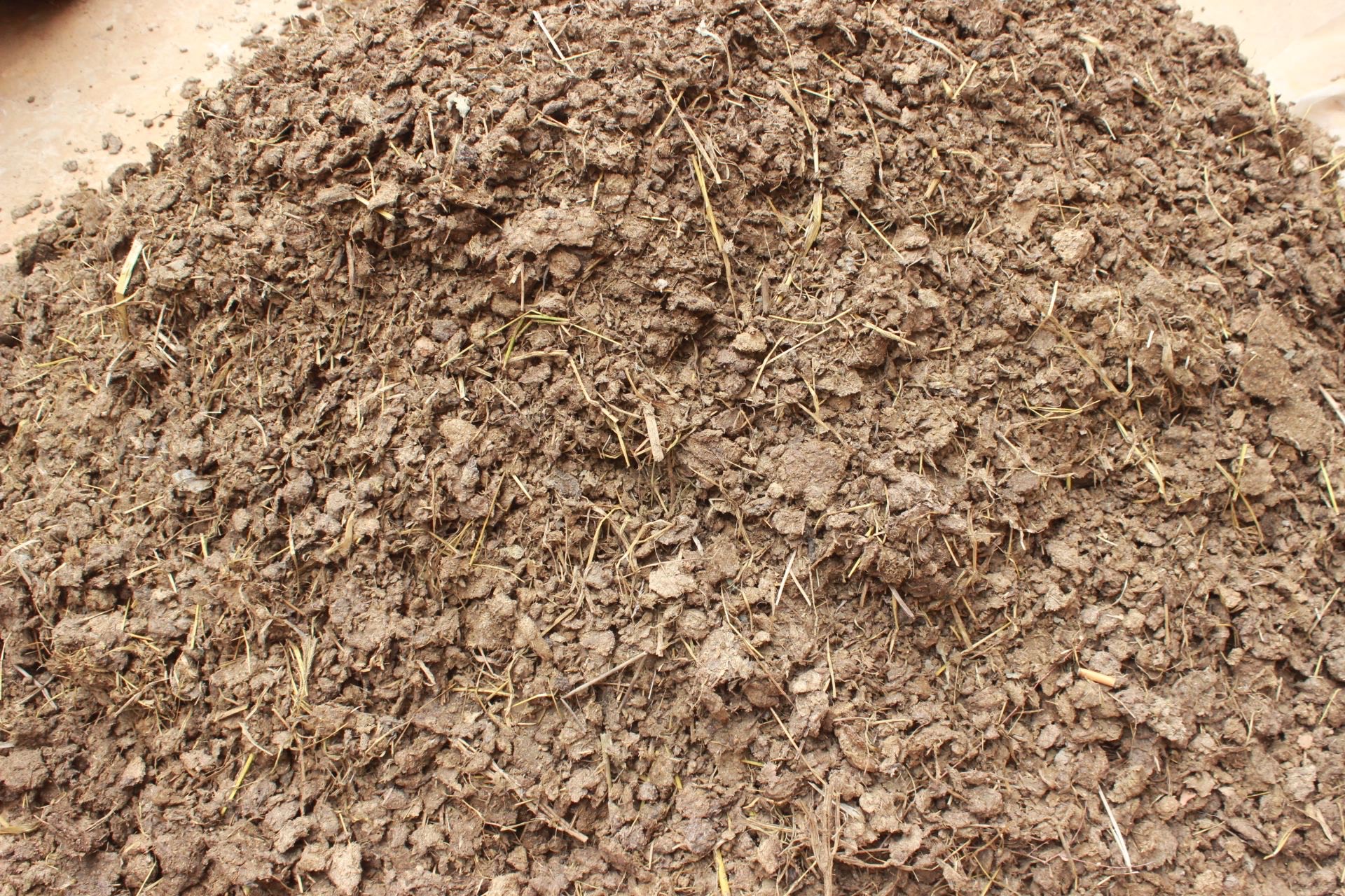 这些干的牛粪,在使用时直接铺在花盆底部做底肥,或是用来做追肥都是