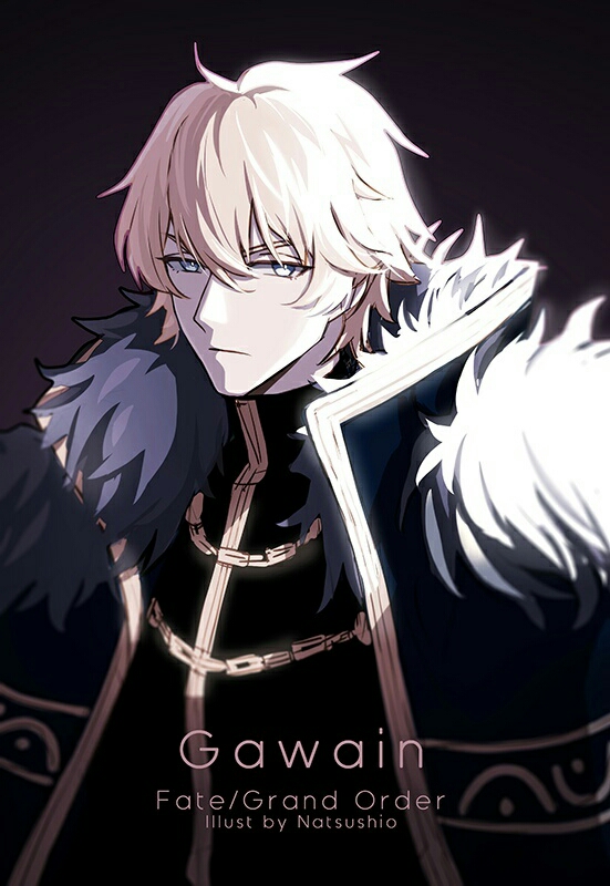 fgo:骑士中最纯洁的那朵白花,忠心的骑士,大猩猩也是有爱的