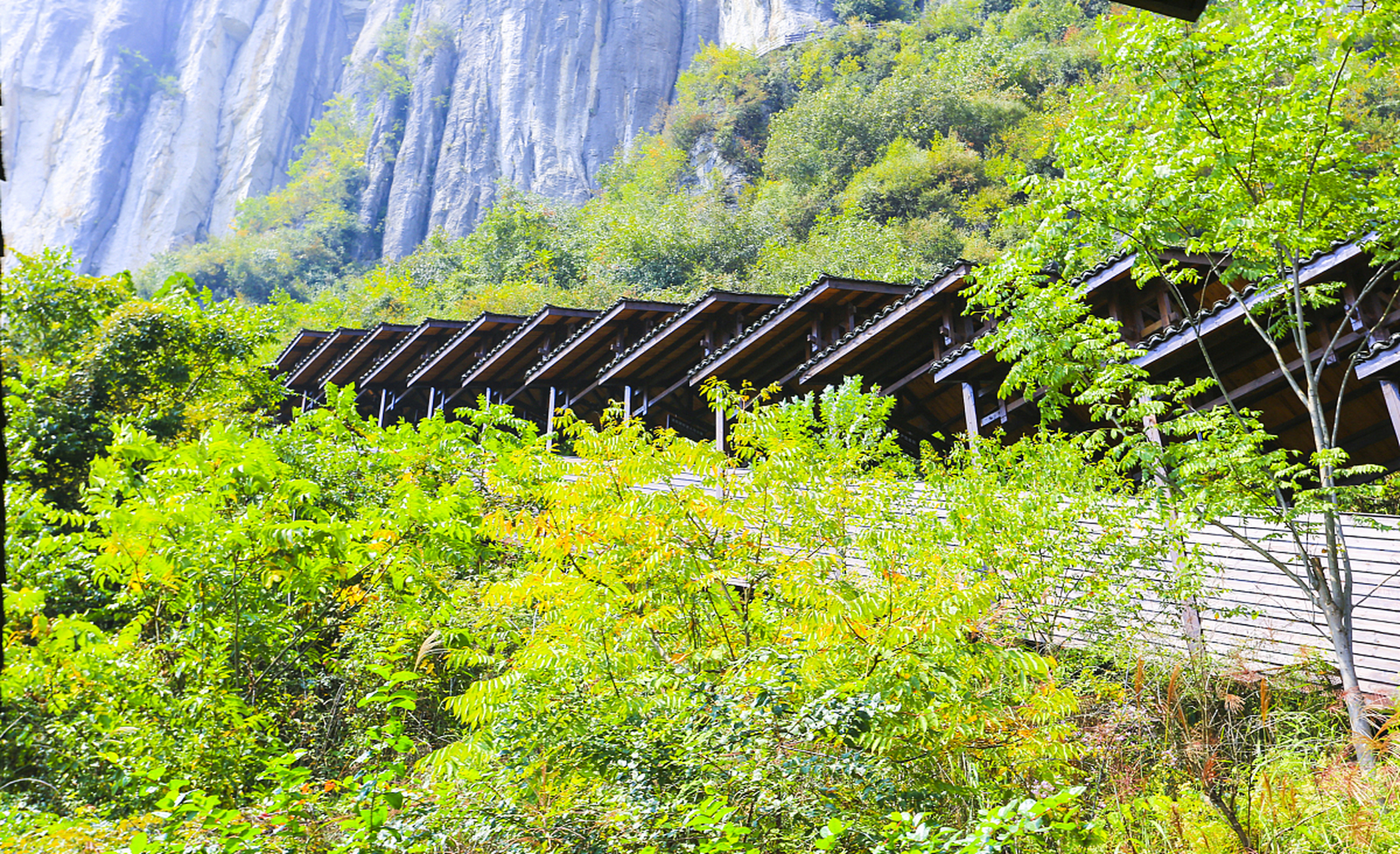 湖北坪坝营风景区图片