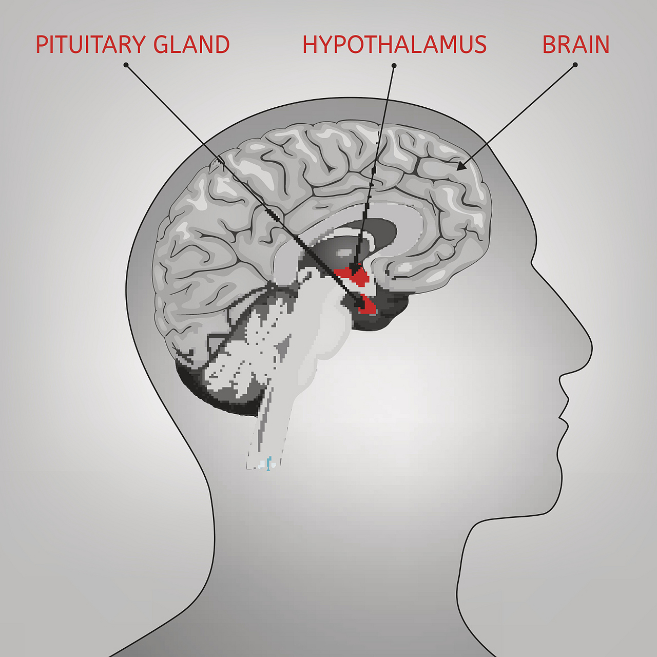 为什么癫痫患者不能吃柿子,你知道原因吗?