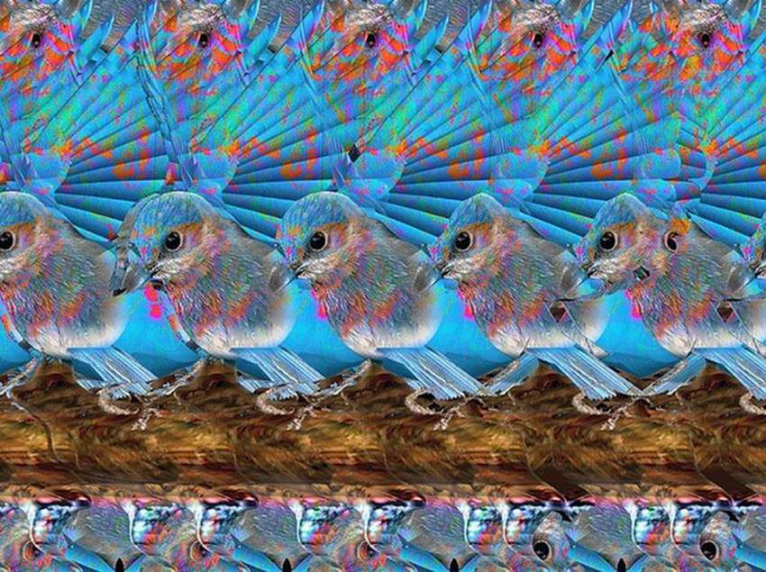 不看不知道,一看真奇妙!三维立体图系列(第1期)