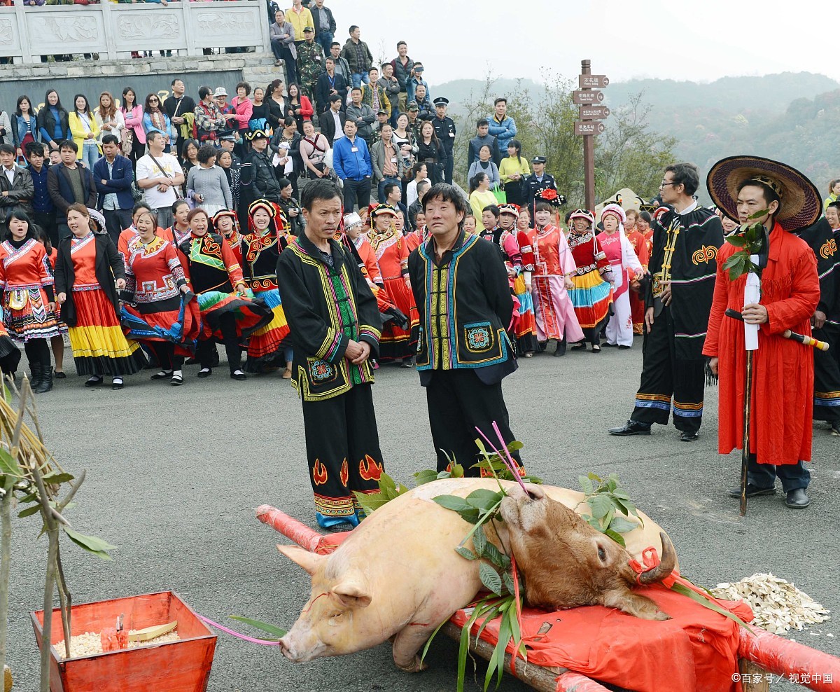 有趣的新年习俗:布依族 布依族在初一,各家要扎