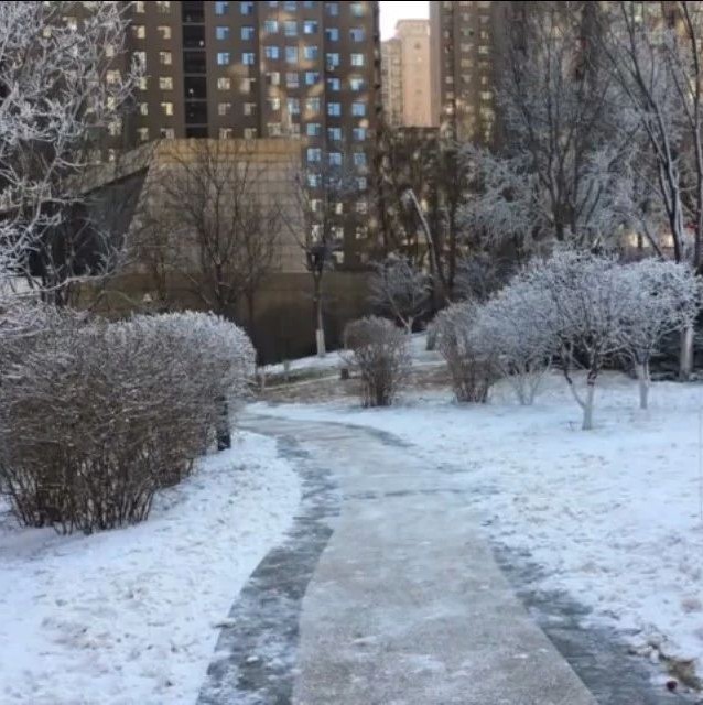 黄河频道|山西一小区人工降雪上热搜!人民日报:硬核操作!