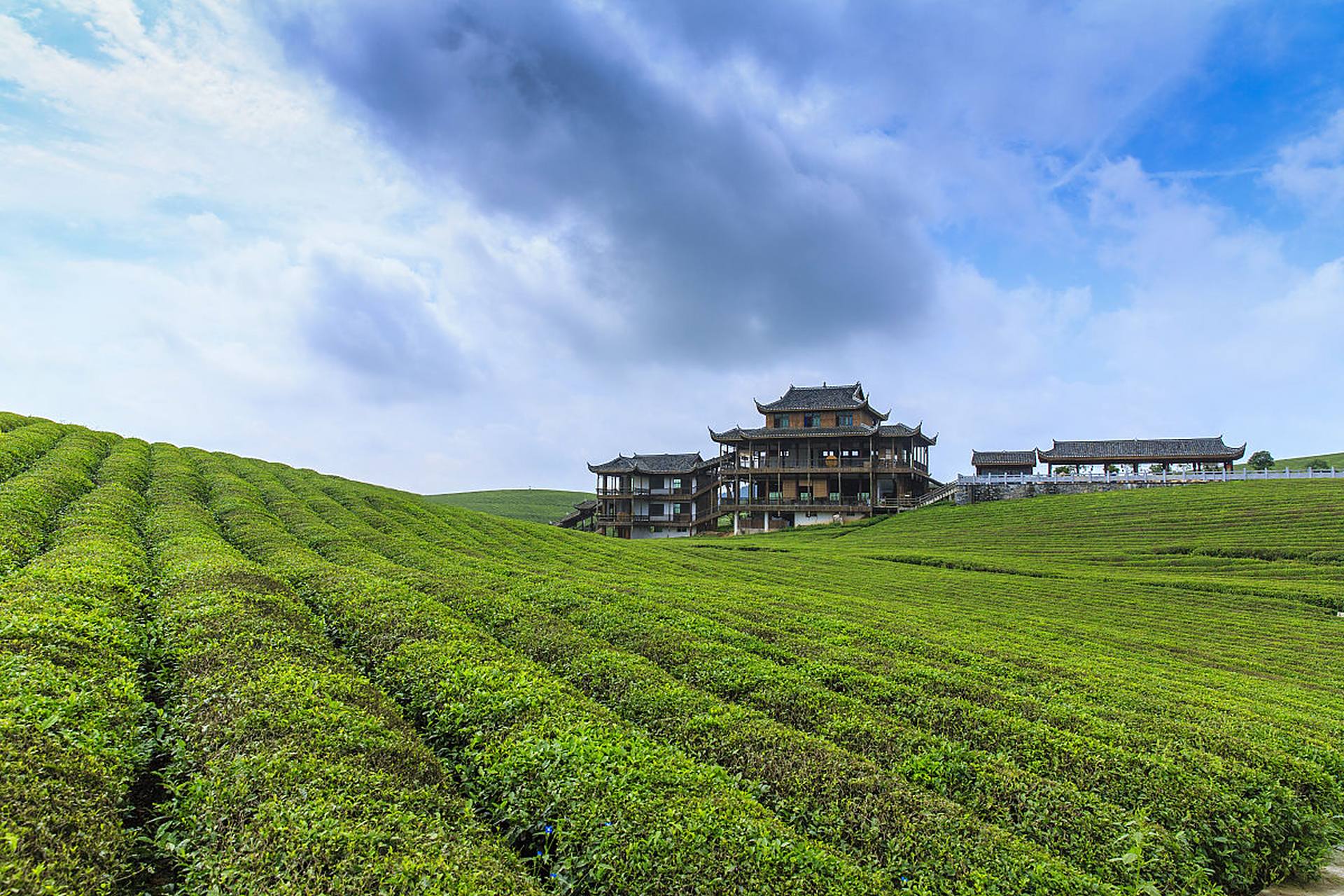 国内文旅# 梵净山,又称为中国的"天空之城",位于位于贵州省铜仁市的