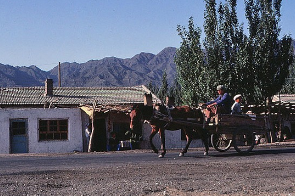 老照片:1983年的新疆吐鲁番市,古丝绸之路上的重镇