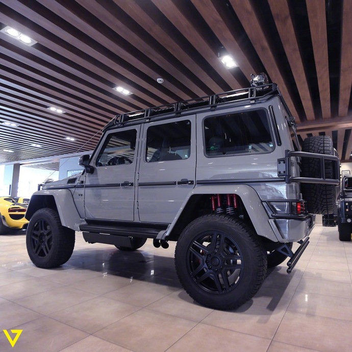 巴博斯奔驰g级g550 4x4 professional adventure