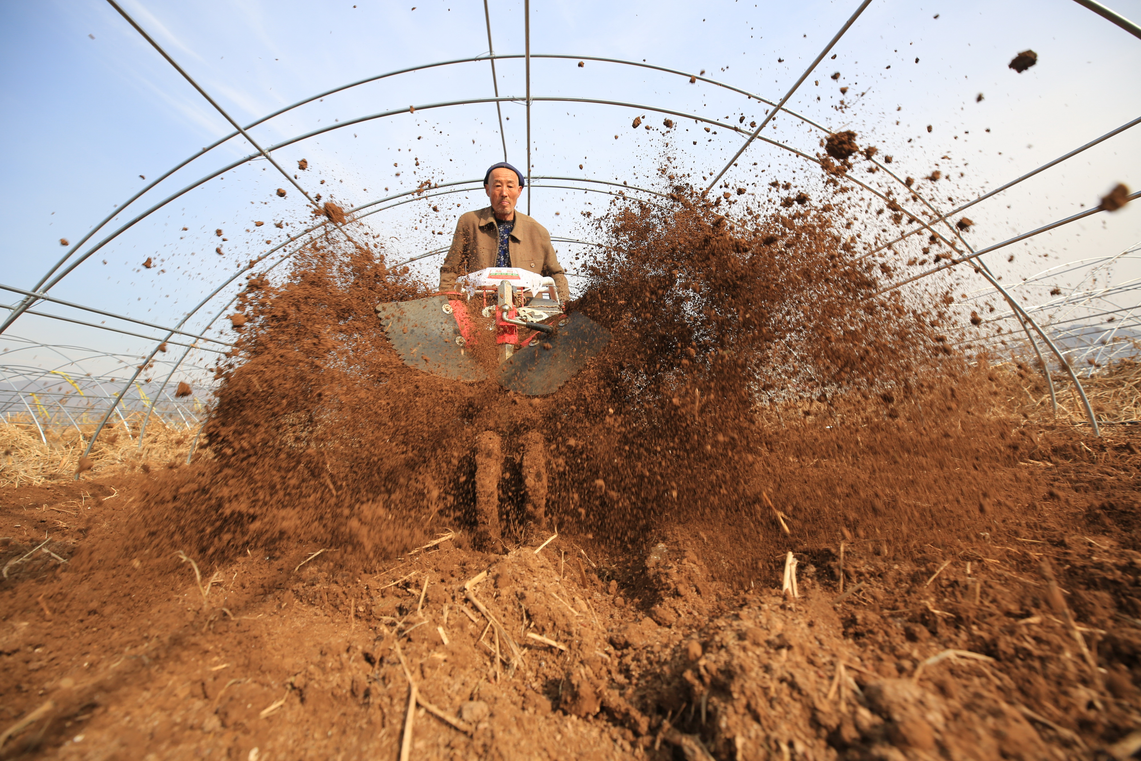 2018年11月9日 冬忙 11月8日,河北省迁西县兴城镇农民在使用农机松土