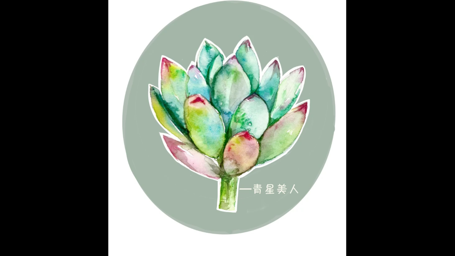 水彩多肉绘画视频