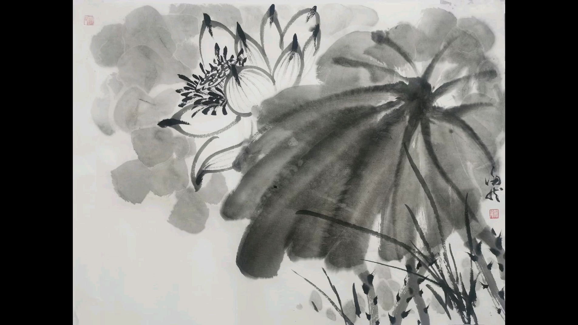 国画写意荷花画法