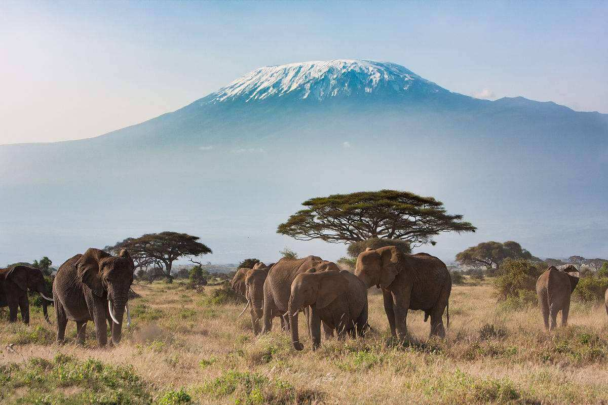 世界上最神秘的火山:非洲大地的风帆,你的古老而又神秘让人向往