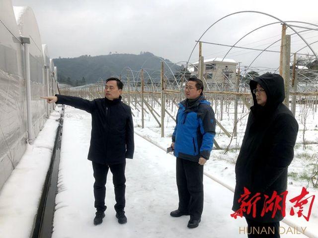 印宇鹰赴乡镇指导冰雪灾害救助工作