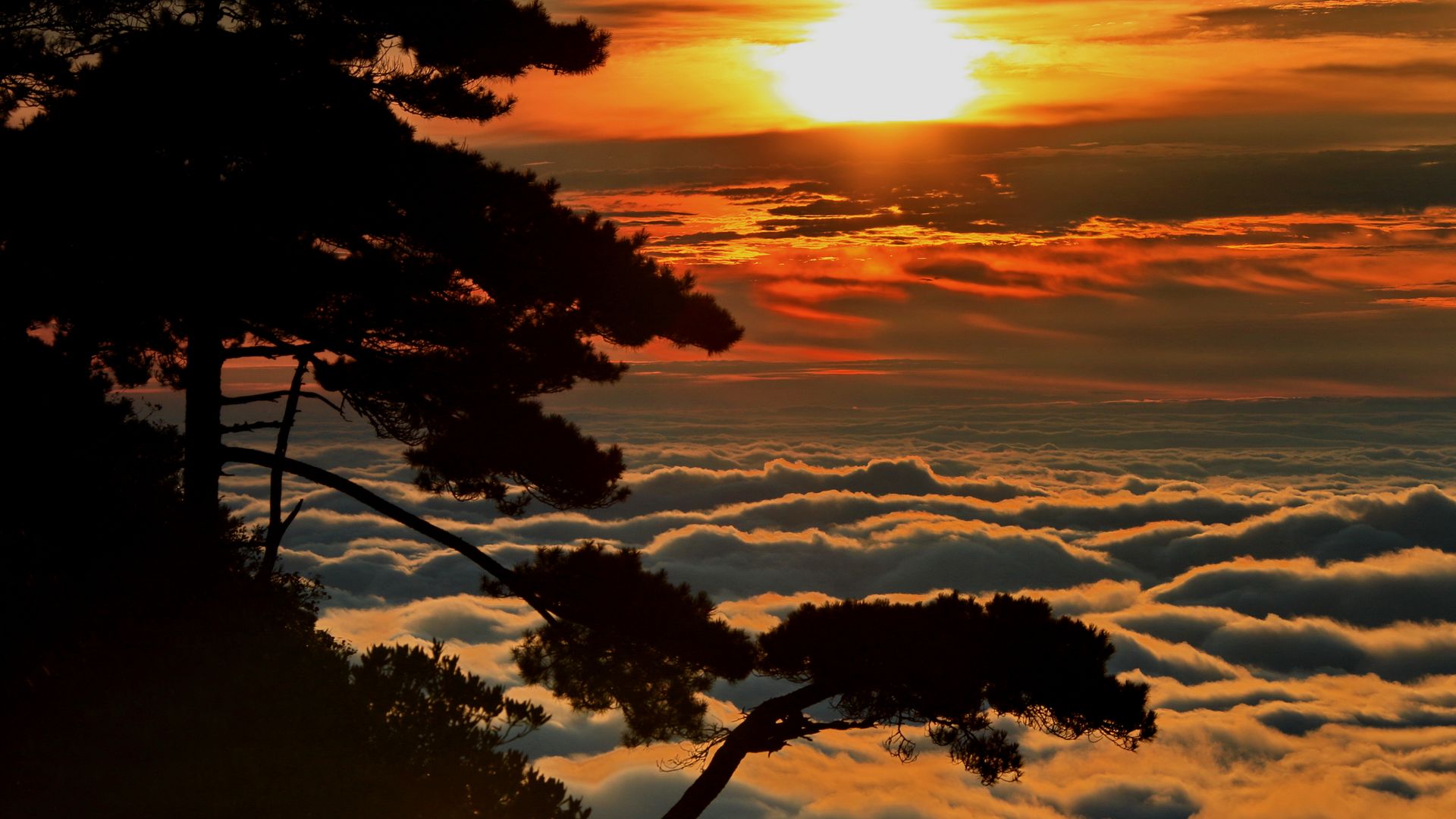 江西三清山红日初升的美景,一轮耀眼的红日从云层中喷薄而出!