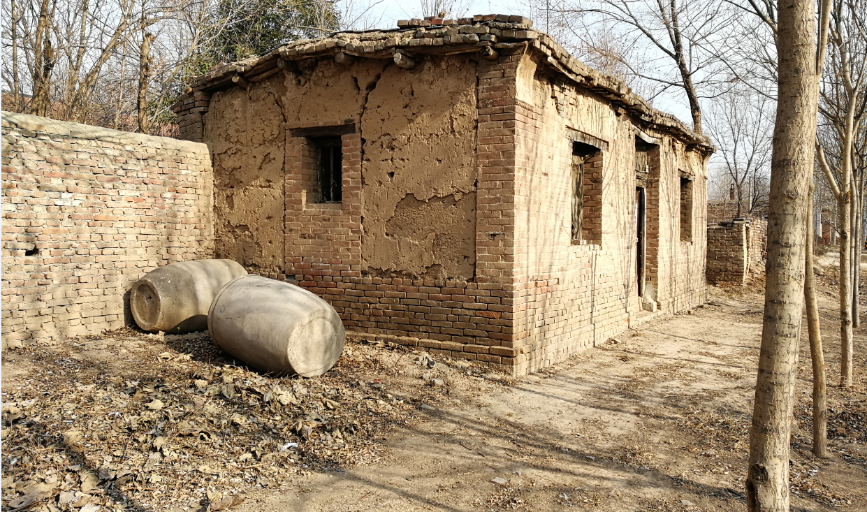 专家:农民有钱了,盖这么好的房子,却不住