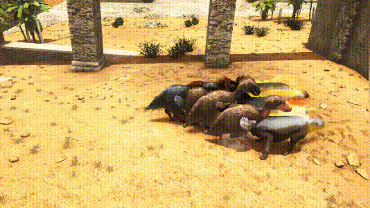 方舟:骇鸟打不过恐狼?那么6只骇鸟打3只恐狼呢?