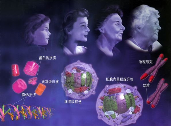 文学军院士因该nad 被国际媒体评论为"掌控nad 再生效果第一人"