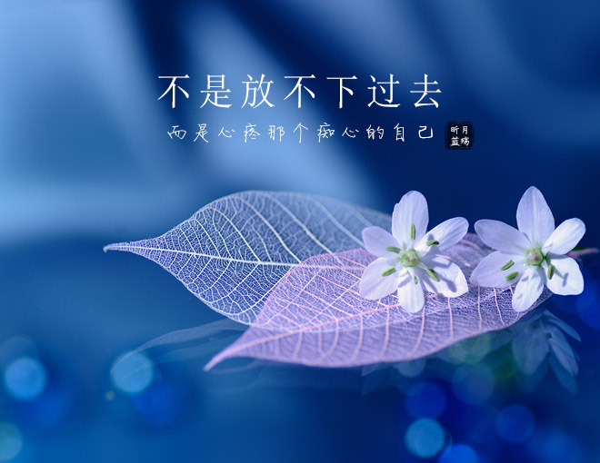 不再打扰,愿你一世安好