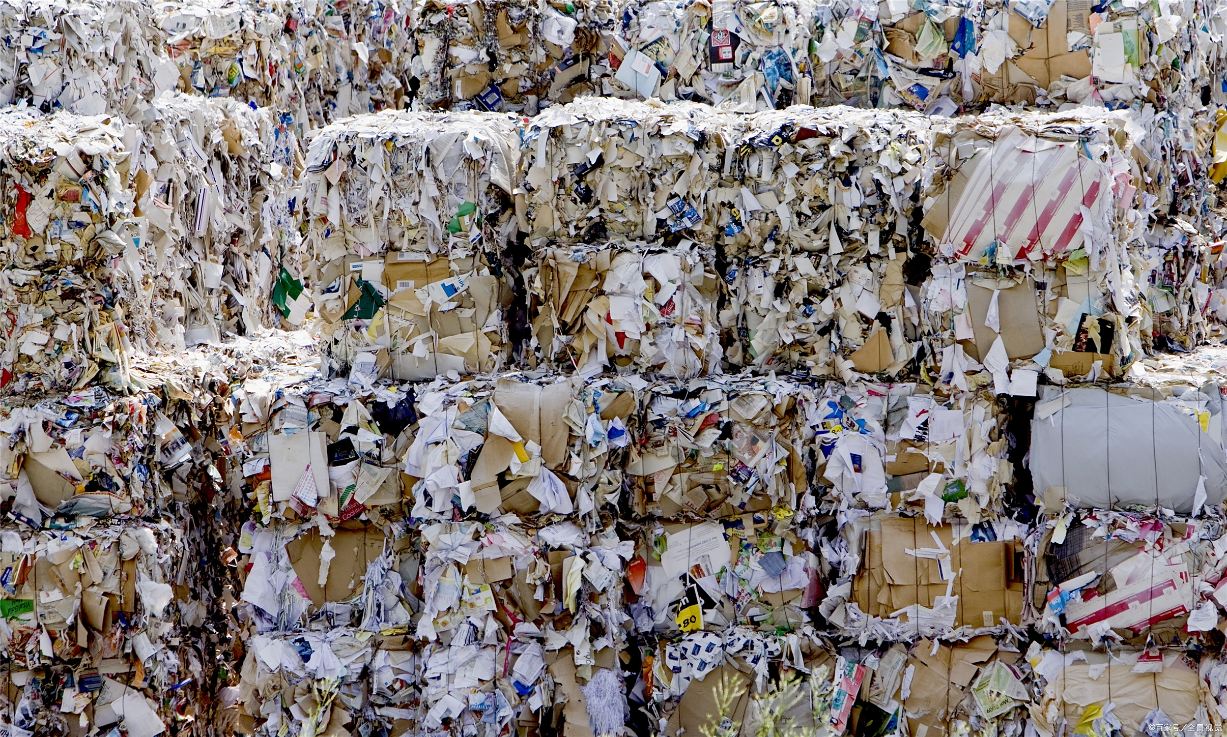 废纸- 热门商品专区