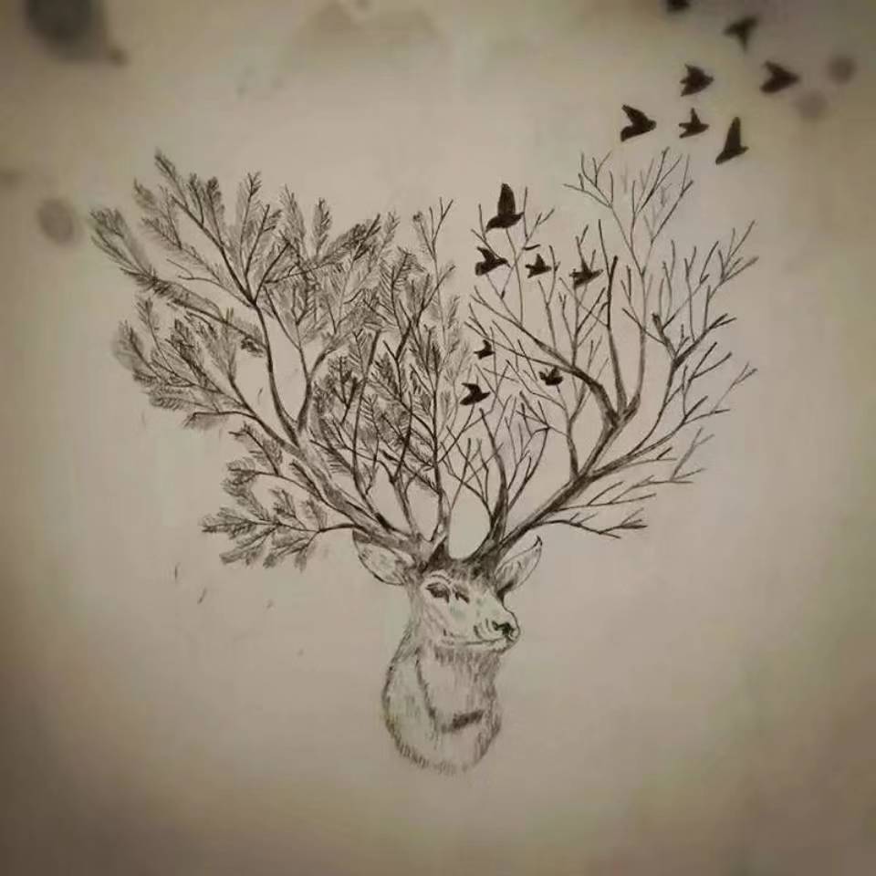 雪鹿娱乐科技 07-0109:56