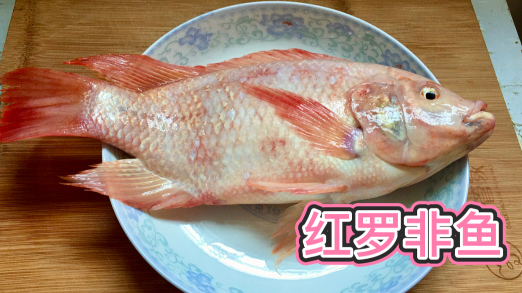 红罗非鱼如何去除土泥味?潮汕小伙教您一招,鱼肉鲜嫩无泥腥味