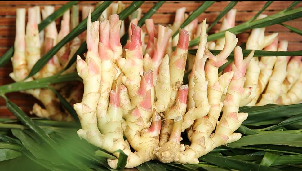 铜陵白姜登场《风味人间》,姜终于摆脱调味料标签,为美食代言!